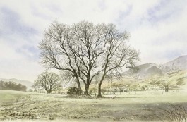 Burnside at Skiddaw