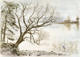 Cow Bay, Derwent Water