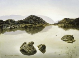 Innominate Tarn, Haystacks