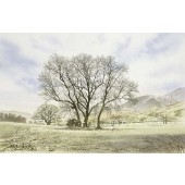 Burnside at Skiddaw