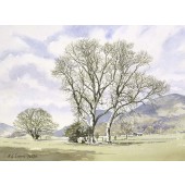 Burnside with Skiddaw