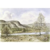 South Thirlmere at Low Water