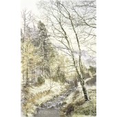St John's Vale, 1987